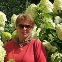 ���� �����, ������, 73 ���� - ��������� 30 ����� 2017 � ������ ���� ����������