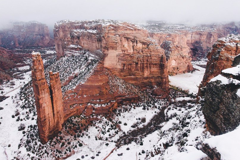 Arizona - 4