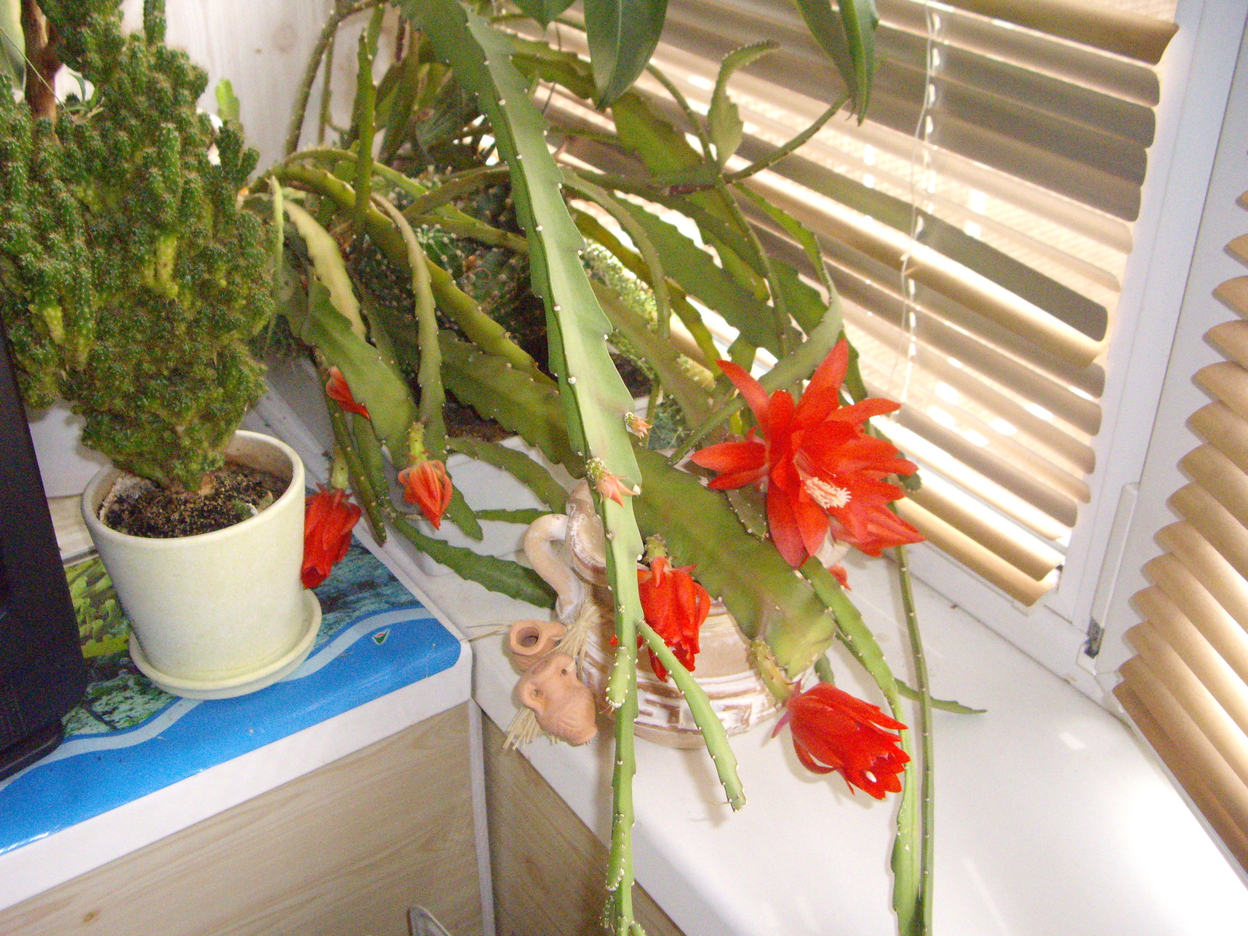  - 10  2016  20:39 - 4