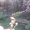 ���� �����, ������, 45 ��� - ��������� 26 �������� 2016 � ������ �������� 16�