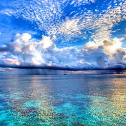 ����� :), ������-��-����