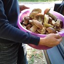 ���� ��������, ������, 47 ��� - ��������� 26 ������� 2016 � ������ ���� ����������