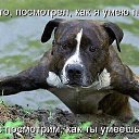 ���� ������, ������, 59 ��� - ��������� 2 ������� 2016 � ������ ���� ����������