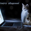 ���� �������, ������ - ��������� 6 ������� 2016 � ������ ������ ��������