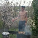 ���� �����, �������, 48 ��� - ��������� 28 ������� 2016 � ������ ���� ����������