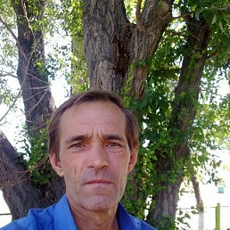 , 61, 