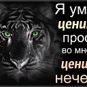 ���� Host, ����, 61 ��� - ��������� 30 ������� 2016 � ������ ������ ��������