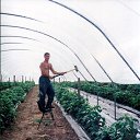 ���� ������, �������, 42 ���� - ��������� 26 ������ 2016 � ������ ���� ����������