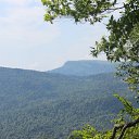 ���� �����, ������, 41 ��� - ��������� 18 ������ 2017 � ������ ������� 2016�