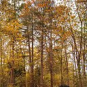 ���� �����, ����� - ��������� 23 ������� 2016 � ������ ���������