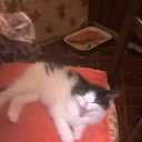 ��� �� ���� ��� ������ �� ������� ���� ����������
