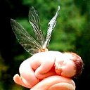 ���� ����, �������, 53 ���� - ��������� 17 ������� 2016 � ������ ���� ����������