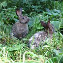 ���� ����, ������� - ��������� 19 �������� 2016 � ������ ���� ����������