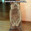 ���� �������, ����������, 50 ��� - ��������� 11 ������� 2016 � ������ ������ ��������