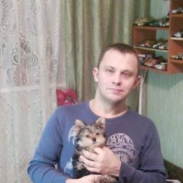 ���� ������, ������, 42 ���� - ��������� 3 ������ 2017