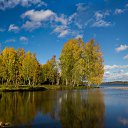 ���� ������, ����������� - ��������� 1 ������� 2017 � ������ ������ ��������