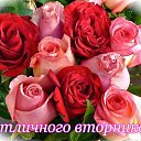 ���� ���������, �������� - ��������� 27 �������� 2016 � ������ ���� ����������