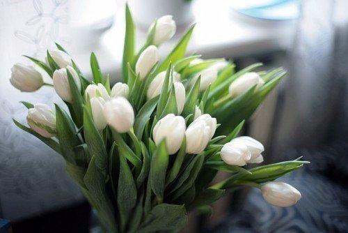 « Я просто нить, связывающая букет. Не я придумал цветы, их форму, цвет и запах. Моя единственная ... - 5