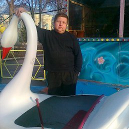 ����, ��������, 55 ���