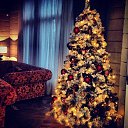 ���� ������, ���������, 66 ��� - ��������� 31 ������� 2016 � ������ ������ ��������