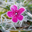 ���� �����, �����, 64 ���� - ��������� 22 ������� 2016 � ������ ������� ���������