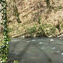 ���� �����, �������, 49 ��� - ��������� 25 ����� 2017 � ������ ���� ����������