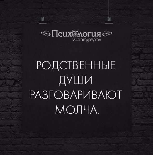 Рядом молча говорил. Родственные души разговаривают молча. Разговоры по душам цитаты. Афоризмы про родственные души. Поговорить по душам цитаты.