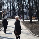  ,  , 62  -  22  2017    