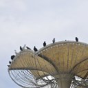  , , 83  -  8  2016    2016.