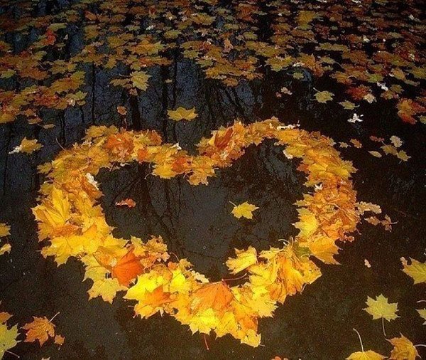 А, веришь? ...бывает чудо! Радуга Землю радует! Тогда улыбаются люди... и росы осенние падают... А ... - 3