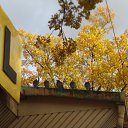 ���� ��������, ����, 47 ��� - ��������� 27 ������ 2017 � ������ ���� ����������