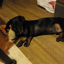 ���� ��������, ������������ - ��������� 13 ������ 2016 � ������ ���� ����������