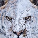 ���� �������, ����, 48 ��� - ��������� 23 ������� 2016 � ������ ���� ����������
