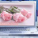 ���� �����, ������� - ��������� 25 ������� 2016 � ������ ������