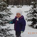 ���� ��������, ���������, 54 ���� - ��������� 11 ������ 2017 � ������ ���� ����������