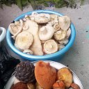 ���� ����, ������������ - ��������� 27 ������� 2016 � ������ ���� ��������...��� ��������...�