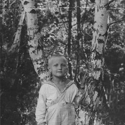 ���� ������, ����, 42 ���� - ��������� 29 ����� 2017