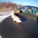 ���� ����, ���������, 79 ��� - ��������� 7 ������� 2017 � ������ ���� ����������