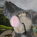 ���� �����, ��������, 77 ��� - ��������� 4 ����� 2017