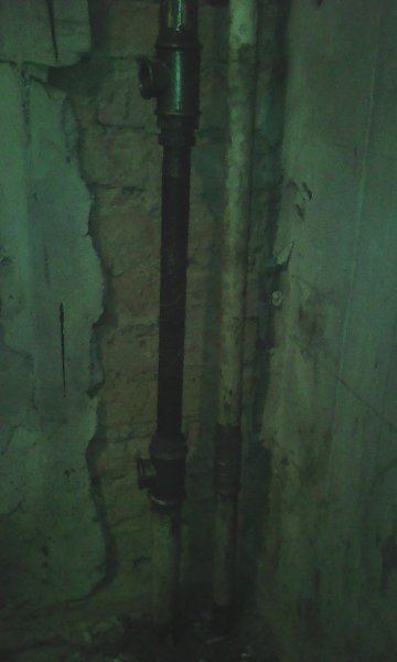 ���� - 24 ������ 2017 � 13:52 - 81