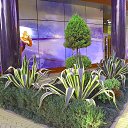 ���� �����, ����� - ��������� 19 �������� 2016 � ������ ���� ����������