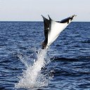 ���� �����, ������ - ��������� 28 ������� 2017 � ������ ������ ��������