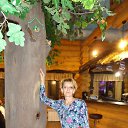 ���� �����, �����-�������, 56 ��� - ��������� 23 ������� 2016 � ������ ���� ����������