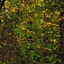 ���� �����..., ����� - ��������� 14 ������� 2016 � ������ ������ �������.�