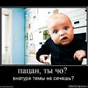 ���� ����, ������, 44 ���� - ��������� 2 ������� 2017