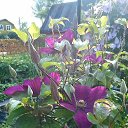 ���� �������, �����-��������� - ��������� 10 ����� 2017 � ������ �����