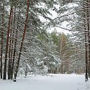 ���� ������, �������� - ��������� 7 ������ 2017 � ������ ���� ����������