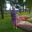 ���� ����, ������, 62 ���� - ��������� 22 ������� 2016 � ������ ���� ����������