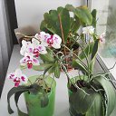 ���� ����, ������, 69 ��� - ��������� 12 ������� 2017 � ������ ������ ��������