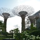 ���� ����, ����, 50 ��� - ��������� 23 ������ 2016 � ������ �indonesia�